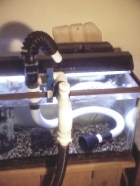 60_gallon_aquarium_vacuum