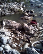 early_model_625_east_fork_sg_river